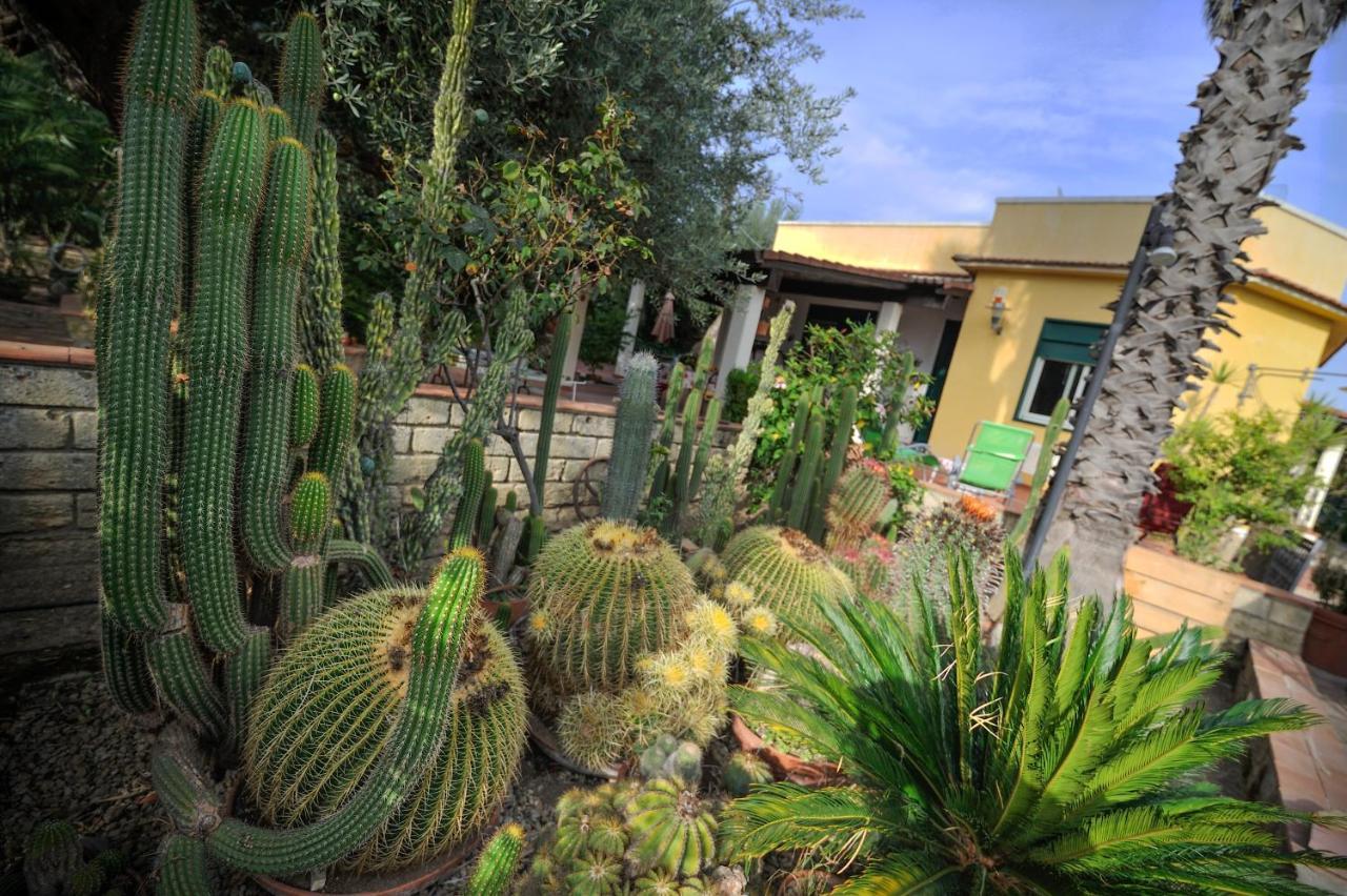 Donna Caterina House, * Pietraperzia