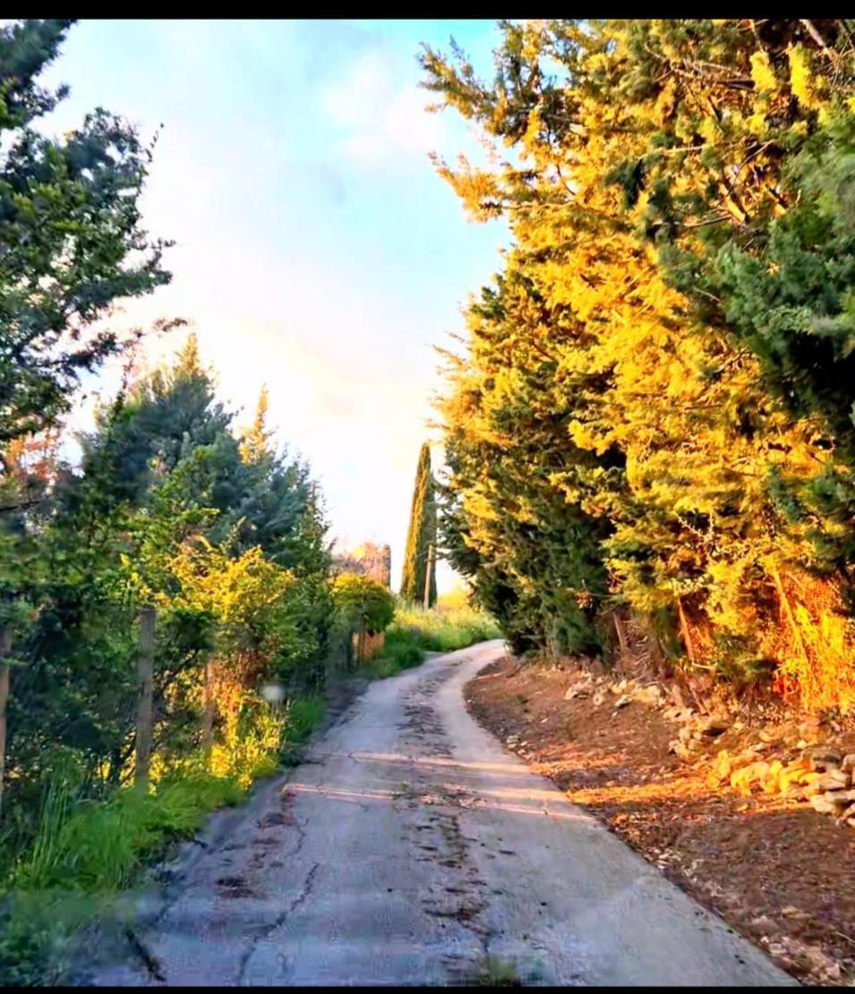 Donna Caterina House, Pietraperzia